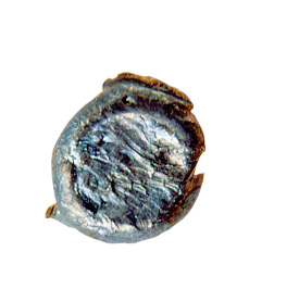 Recovered Bullet